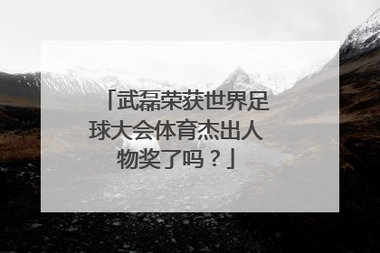 武磊荣获世界足球大会体育杰出人物奖了吗？