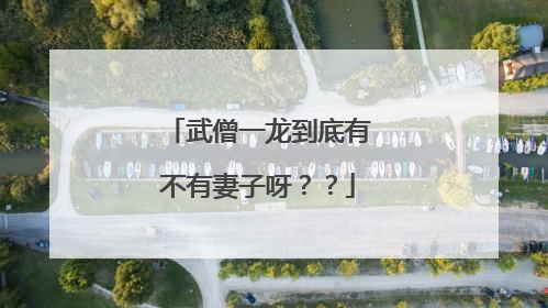 武僧一龙到底有不有妻子呀？？