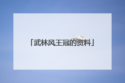 武林风王冠的资料