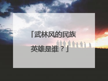 武林风的民族英雄是谁？