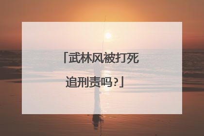 武林风被打死追刑责吗?