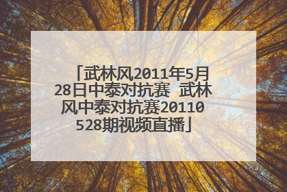 武林风2011年5月28日中泰对抗赛 武林风中泰对抗赛20110528期视频直播