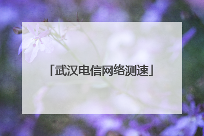 武汉电信网络测速