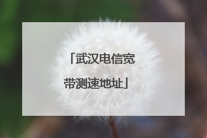 武汉电信宽带测速地址