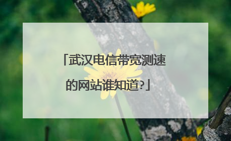 武汉电信带宽测速的网站谁知道?