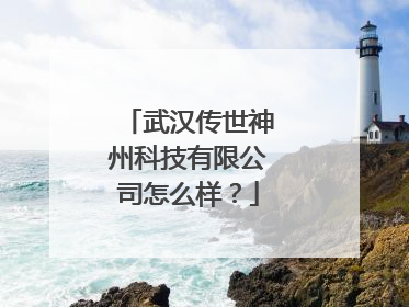 武汉传世神州科技有限公司怎么样?