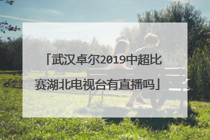 武汉卓尔2019中超比赛湖北电视台有直播吗