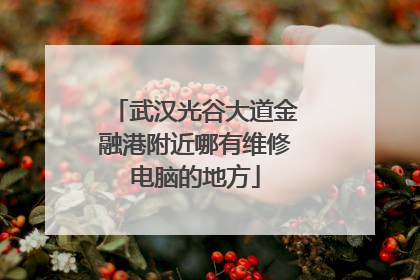 武汉光谷大道金融港附近哪有维修电脑的地方