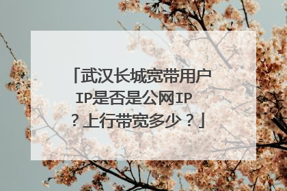武汉长城宽带用户IP是否是公网IP?上行带宽多少?