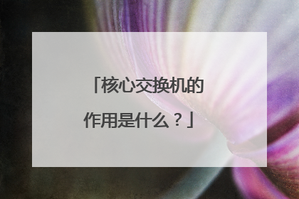 核心交换机的作用是什么？