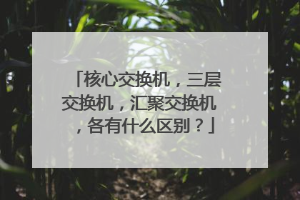 核心交换机，三层交换机，汇聚交换机，各有什么区别？