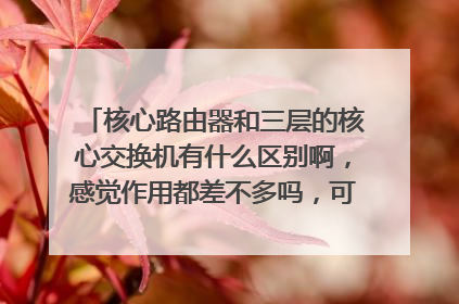 核心路由器和三层的核心交换机有什么区别啊，感觉作用都差不多吗，可以相互替代吗？