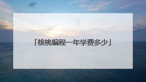 核桃编程一年学费多少