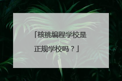 核桃编程学校是正规学校吗？