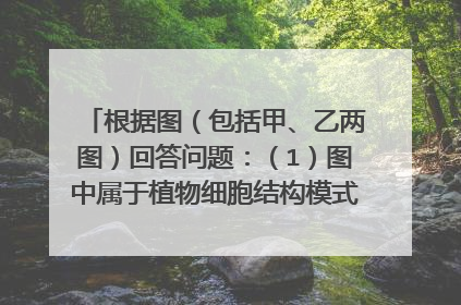 根据图（包括甲、乙两图）回答问题：（1）图中属于植物细胞结构模式图的是______图；属于动物细胞结构模
