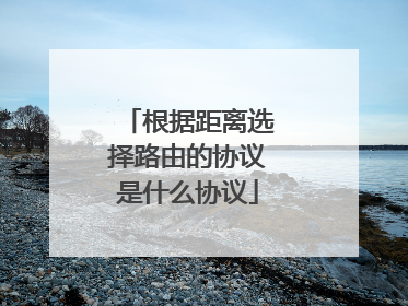 根据距离选择路由的协议是什么协议