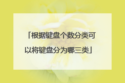 根据键盘个数分类可以将键盘分为哪三类