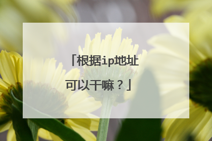 根据ip地址可以干嘛？