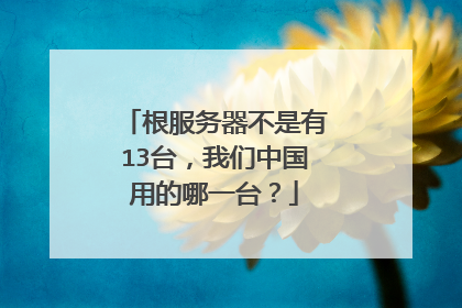 根服务器不是有13台，我们中国用的哪一台？