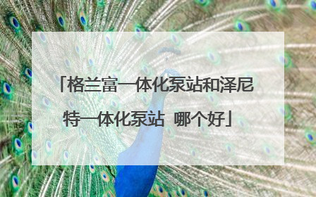 格兰富一体化泵站和泽尼特一体化泵站 哪个好