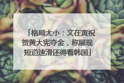 格局太小：文在寅祝贺黄大宪夺金，称展现短道速滑还得看韩国