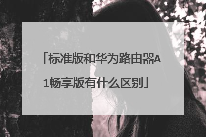 标准版和华为路由器A1畅享版有什么区别