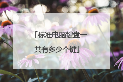 标准电脑键盘一共有多少个键