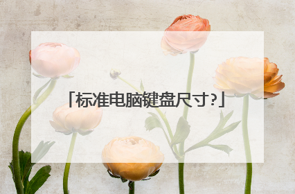 标准电脑键盘尺寸?