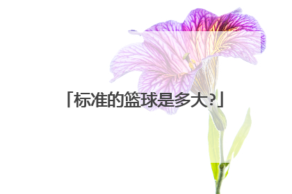 标准的篮球是多大?