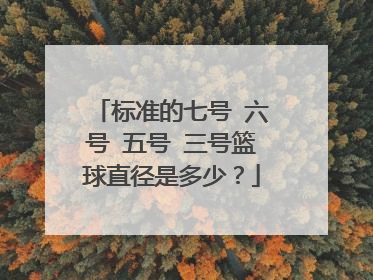 标准的七号 六号 五号 三号篮球直径是多少？