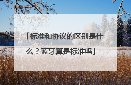 标准和协议的区别是什么？蓝牙算是标准吗