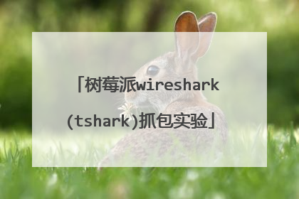 树莓派wireshark(tshark)抓包实验