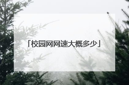 校园网网速大概多少