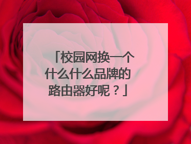 校园网换一个什么什么品牌的路由器好呢?
