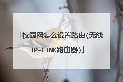 校园网怎么设置路由(无线TP-LINK路由器)
