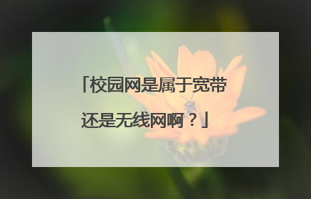 校园网是属于宽带还是无线网啊？