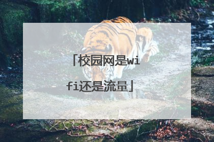 校园网是wifi还是流量