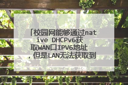 校园网能够通过native DHCPv6获取WAN口IPV6地址,但是LAN无法获取到时应该怎么设置?