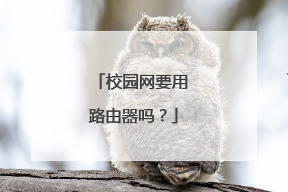 校园网要用路由器吗?