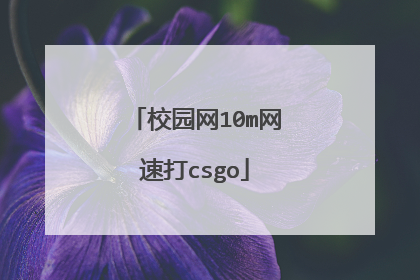 校园网10m网速打csgo