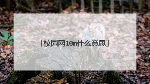 校园网10m什么意思