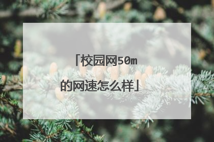 校园网50m的网速怎么样
