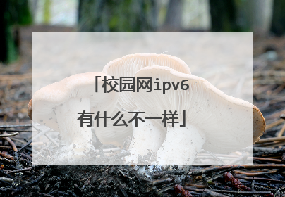 校园网ipv6有什么不一样