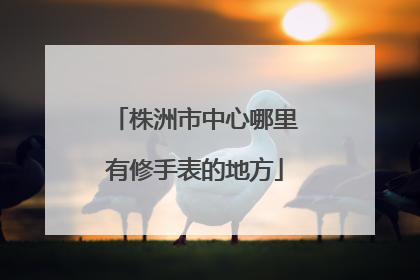 株洲市中心哪里有修手表的地方