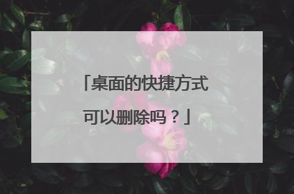 桌面的快捷方式可以删除吗?
