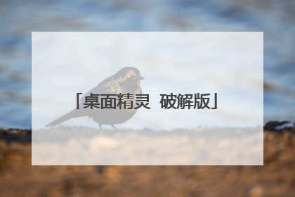 桌面精灵 破解版