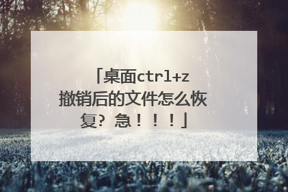 桌面ctrl+z撤销后的文件怎么恢复? 急！！！