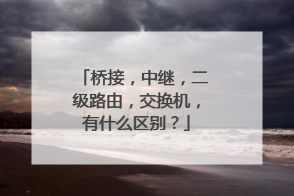 桥接,中继,二级路由,交换机,有什么区别?