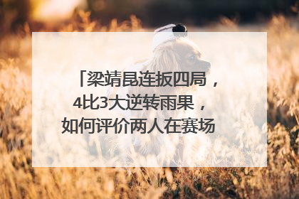 梁靖昆连扳四局，4比3大逆转雨果，如何评价两人在赛场上的表现？