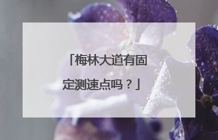 梅林大道有固定测速点吗?